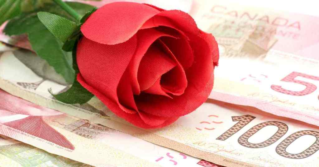 Roses Are Red, VCs Have Cash—Here’s How to Make Your Startup&nbsp;Match