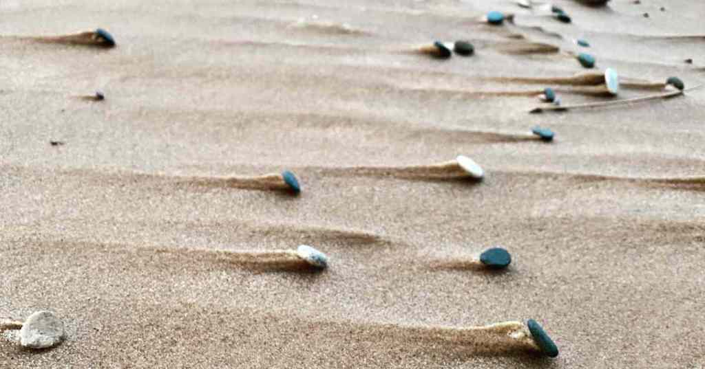 Undervalued, Not Underpowered: The Case for Backing Bootstrapped&nbsp;Founders